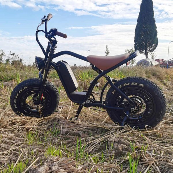 affordable-ebikes-canada