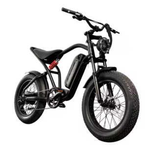 fat-tire-electric-bike-750-watt