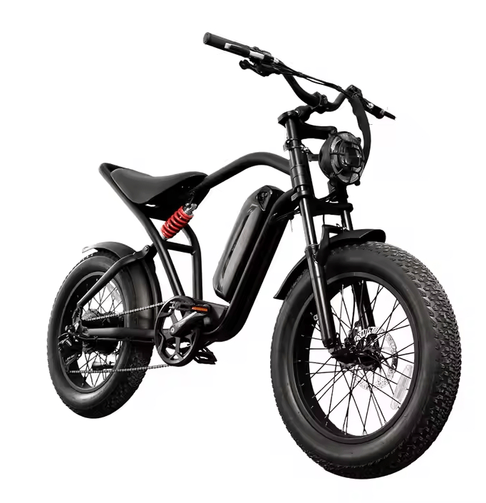 fat-tire-electric-bike-750-watt