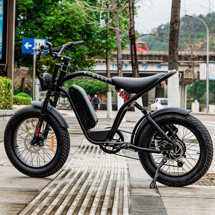 long-range-e-bike