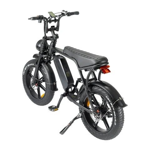 electric-bike-for-adults-04