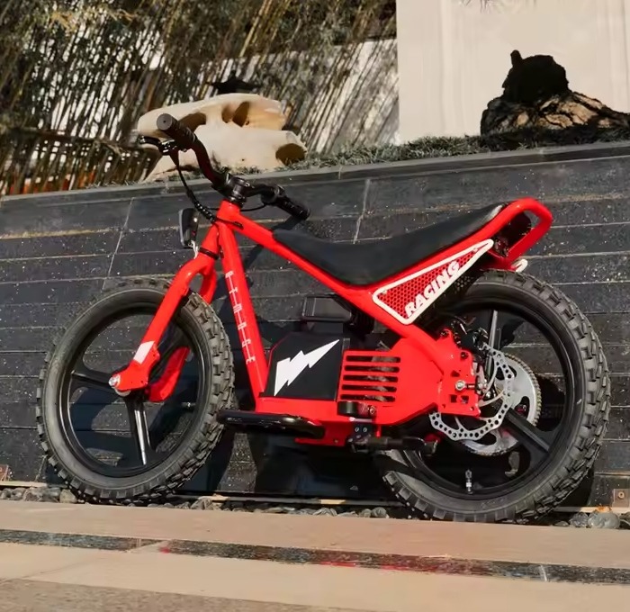 ebike-kids-reddit