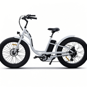 electric-heavy-load-bike