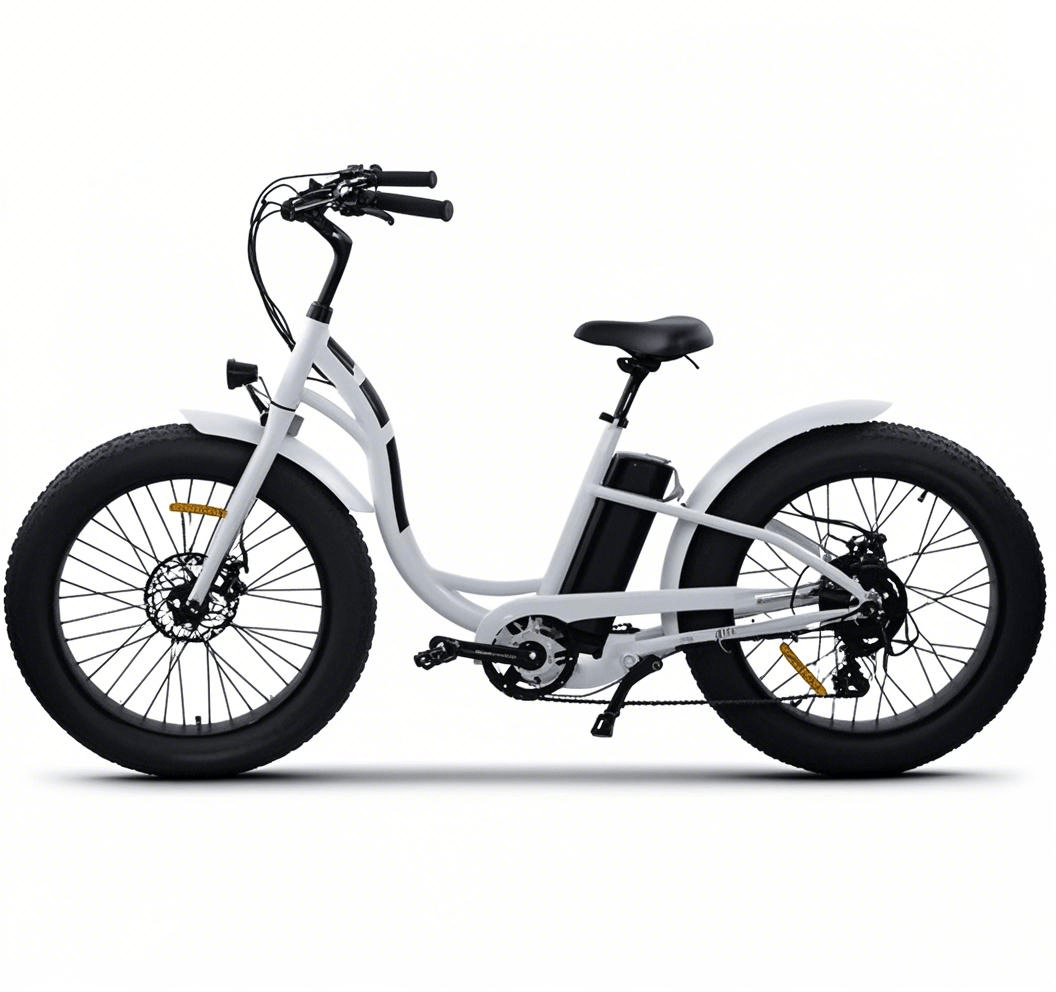 electric-heavy-load-bike